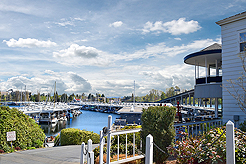 WINDERMERE FALL MIXER